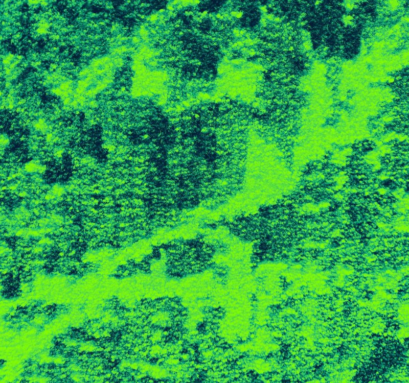 green-abstract-background-2025-03-14-15-01-03-utc